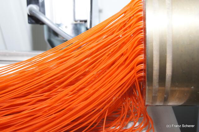 Lärchenhof-Nudeln aus Friedberg-Rinnenthal -  Tomaten-Spaghetti