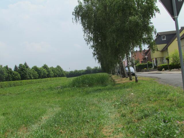Von links nach rechts: Friedhofshecke, Erdb.-Feld, Streifen Getreide
