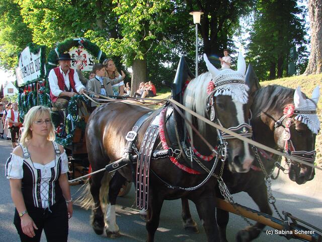 Meringer Volksfest 2011 - Impressionen vom Festzug