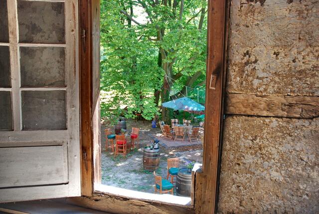 Blick in den Garten