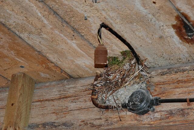 Raum ist in der kleinsten Hütte (und an den unmöglichsten Stellen).