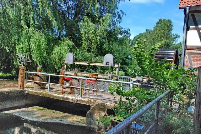Es gehört einfach zusammen: Wasser, Mühlenrad & Weiden