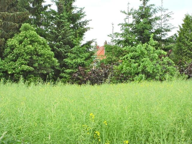Blick vom Festplatz auf unser (etwas verstecktes) Haus