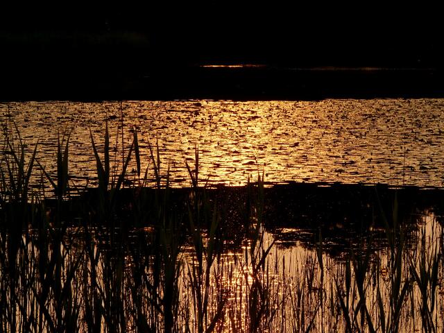 Der abendliche Würmsee in GOLDBRONZE getaucht.