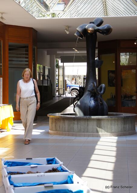 Friedberger Kneipp-Gesundheitstag am 21.05.2011 - Brunnenhof-Impressionen