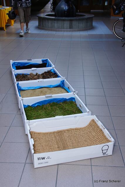 Friedberger Kneipp-Gesundheitstag am 21.05.2011 - Worauf wir laufen - fühlen war die Devise beim Durchlaufen der verschiedenen Materialien