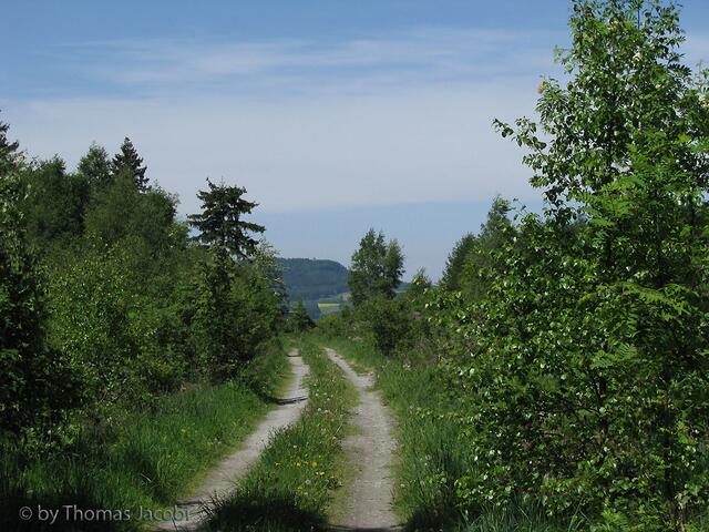 Weiter auf Feld- und Waldwegen...