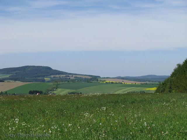 Links der Scheibernberg, rechts der Spiegelwald (mit Aussichtsturm).