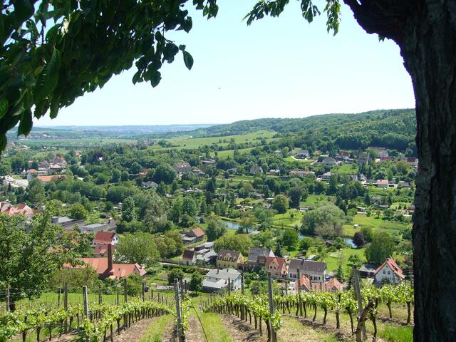 Blick von den Schweigenbergen auf Freyburg