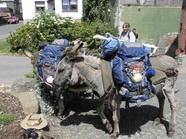 Hab mein`Esel vollgeladen. Im Vordergrund Jürgens unverwüstlicher Trekkinghut und seine Kamera