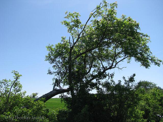 Irgendwo auf weiter Flur.