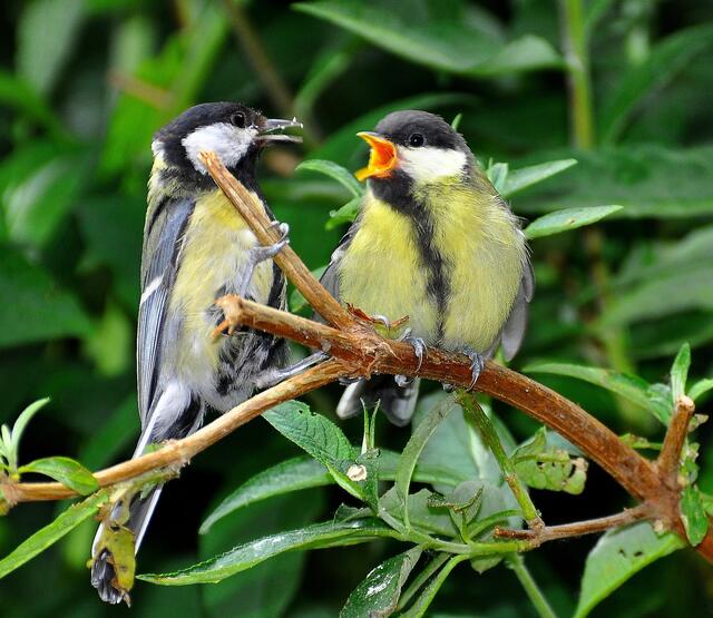 Das wurde aber auch Zeit