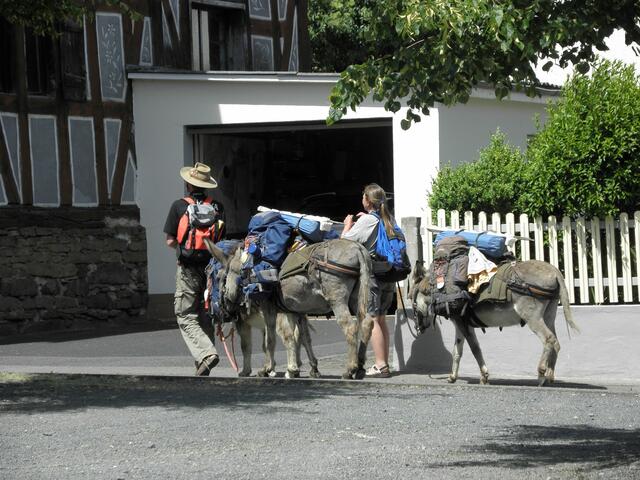 Wer sind die denn ???