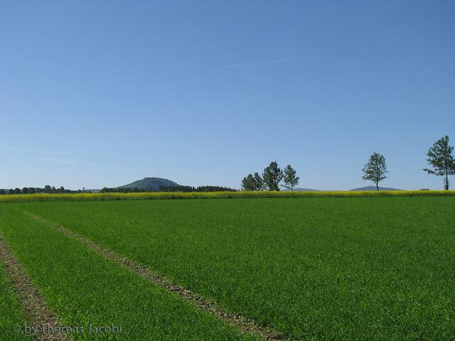 Irgendwo auf einem Feldweg: Blick zum Bärenstein, Keilberg und Fichtelberg.