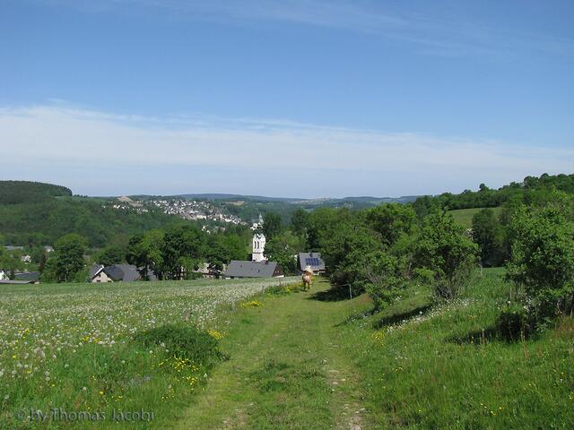 Ein wunderschöner Weg im Grünen...