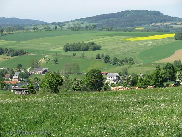 Blick zum Scheibenberg