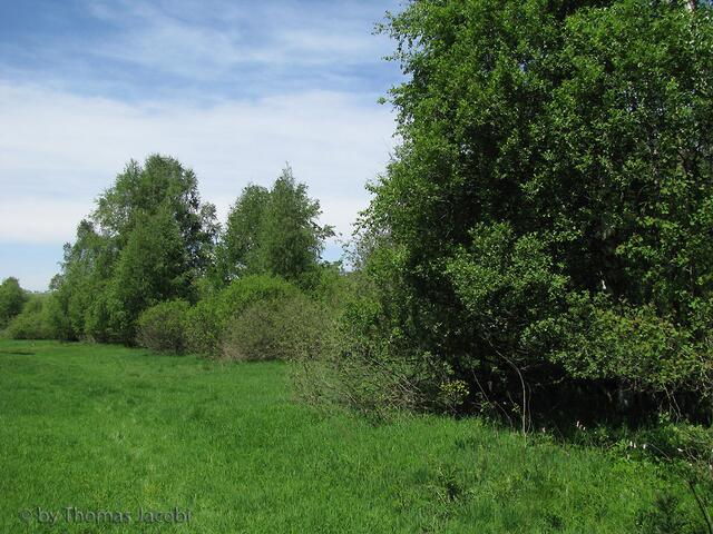 Fast wie eine Aue. Hier ist geschütztes Trinkwassereinzugsgebiet.