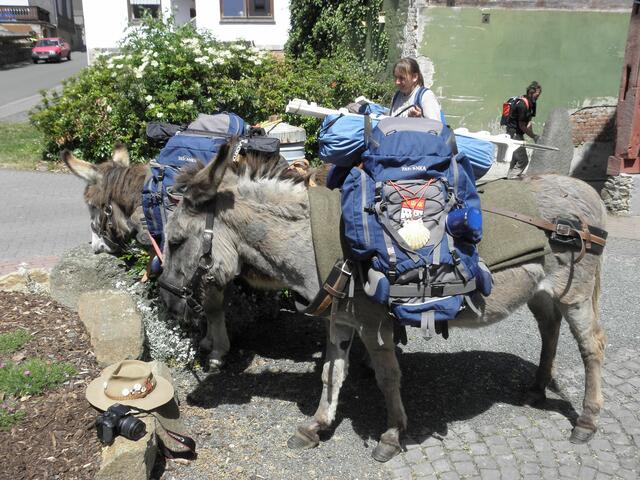 Jürgen, im Hintergrund beseitigt die "Auspuffgase" der Esel.