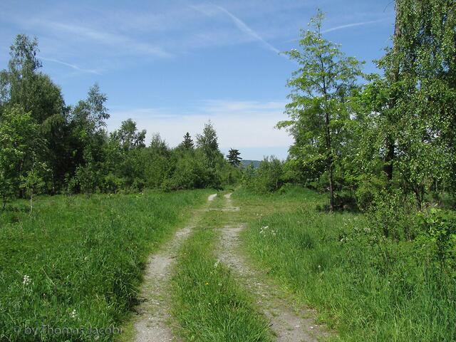 Also ging es den Weg ein Stück zurück. :-)