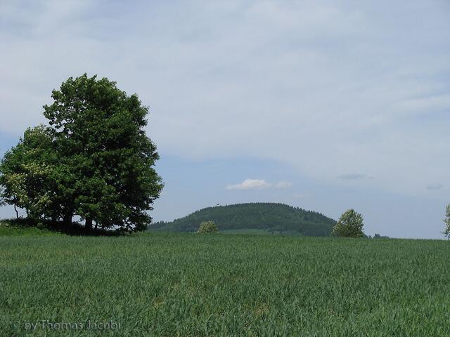 Blick zum Pöhlberg