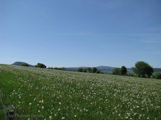 Blick über weite Wiesen zum Bärenstein, Keilberg und Fichtelberg.