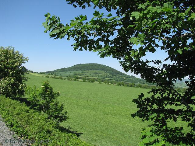 Blick vom Radweg zum Pöhlberg