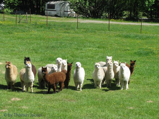 Und noch ein Gruppenfoto.
