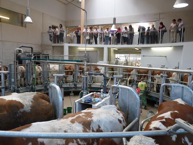 von außen habe ich nun reinfotografiert - die Besucher können alles gut beobachten