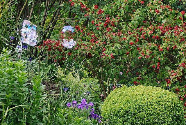Beates bunter Garten & ein paar Seifenblasen ...