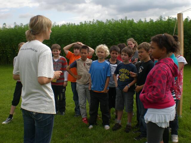 Kleiner Quiz für die Kinder. Wer hat aufgepasst?
