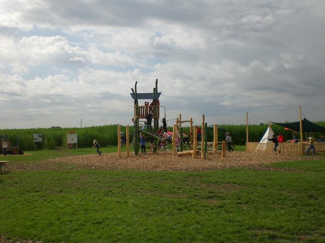 Viel Platz zum Spielen und Toben. Im Hintergrund das etwa 2m hohe Hanffeld 2009.