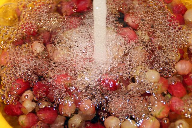 noch gefroren waschen - danach sind sie fast aufgetaut.
