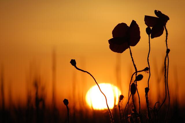Die Sonne geht unter