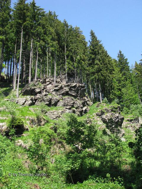 Felsen