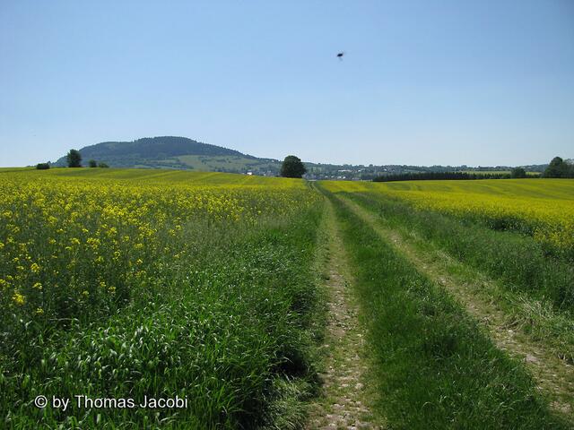 Auf dem Weg von Mildenau nach Geyersdorf.