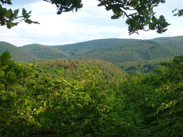 Blick auf den Nationalpark Kellerwald-Edersee