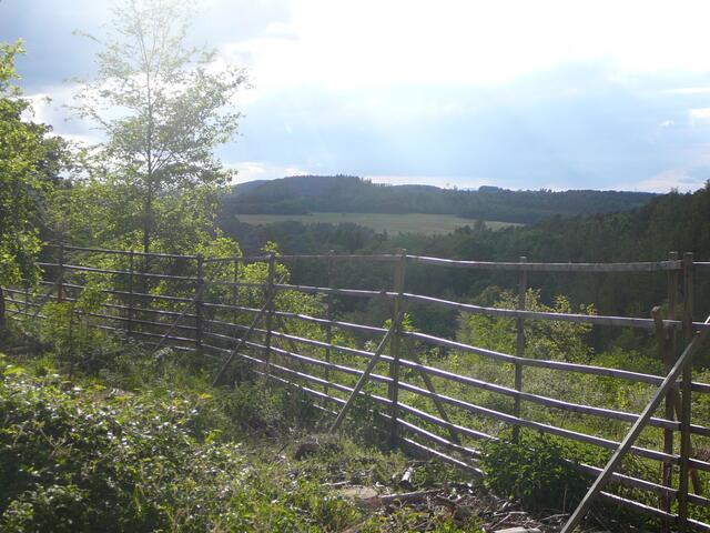 Diesen Ausblick hat Kyrill geschaffen.