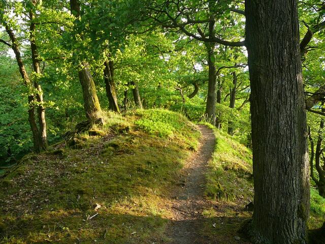 Und weiter hinab Richtung See