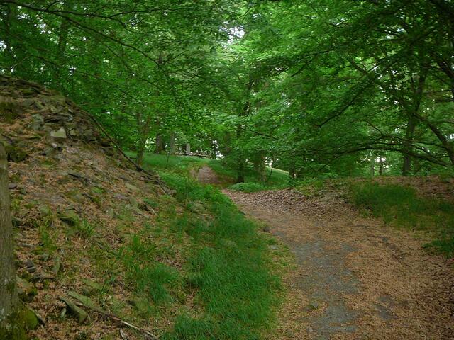 Ringwall der Hünselburg