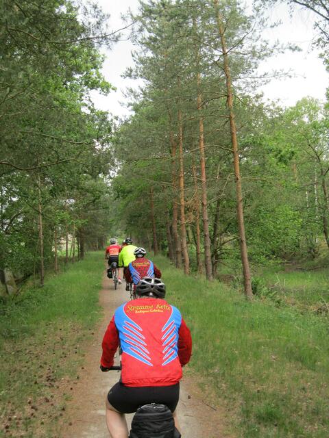 Waldwege