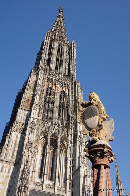 Ulmer Münster - Mit der Spitze des Löwenbrunnens