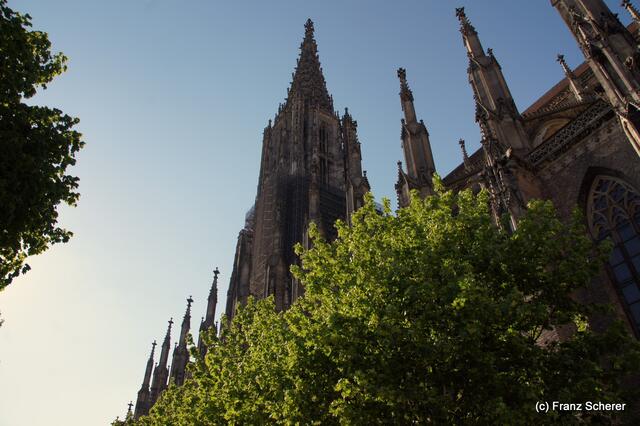 Ulmer Münster - Impressionen
