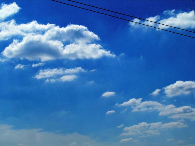 Auch sie brauche was auch wir Menschen brauchen:  Diesen Himmel über uns!