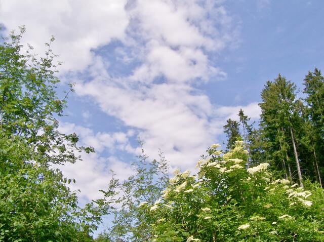 Wolkenstimmung