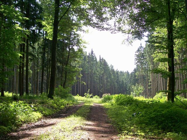 Schatten und Licht
