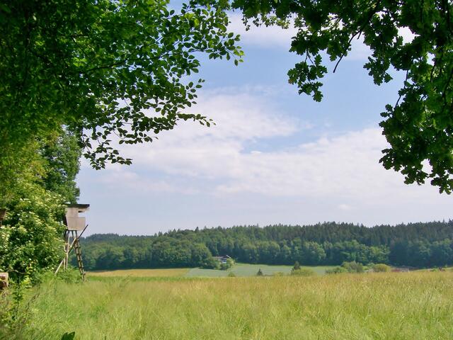 Blick zum Naturfreundehaus - rechts Muttershofen
