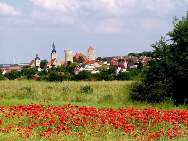 Blick zur Burg Querfurt