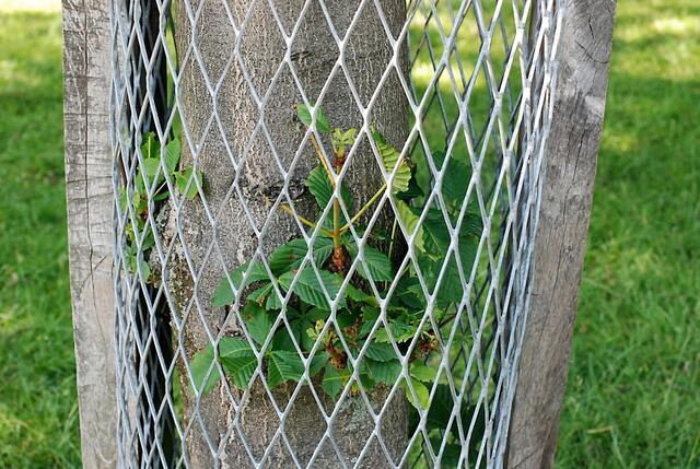 Hinter Gittern ...
