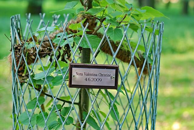Je mehr Kinder geboren werden, desto größer der Tiergarten ?!