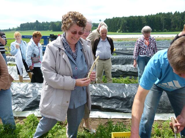 Der erste selbst gestochene Spargel | Foto: Michael Fendt